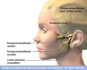 The Temporo Mandibular Joint